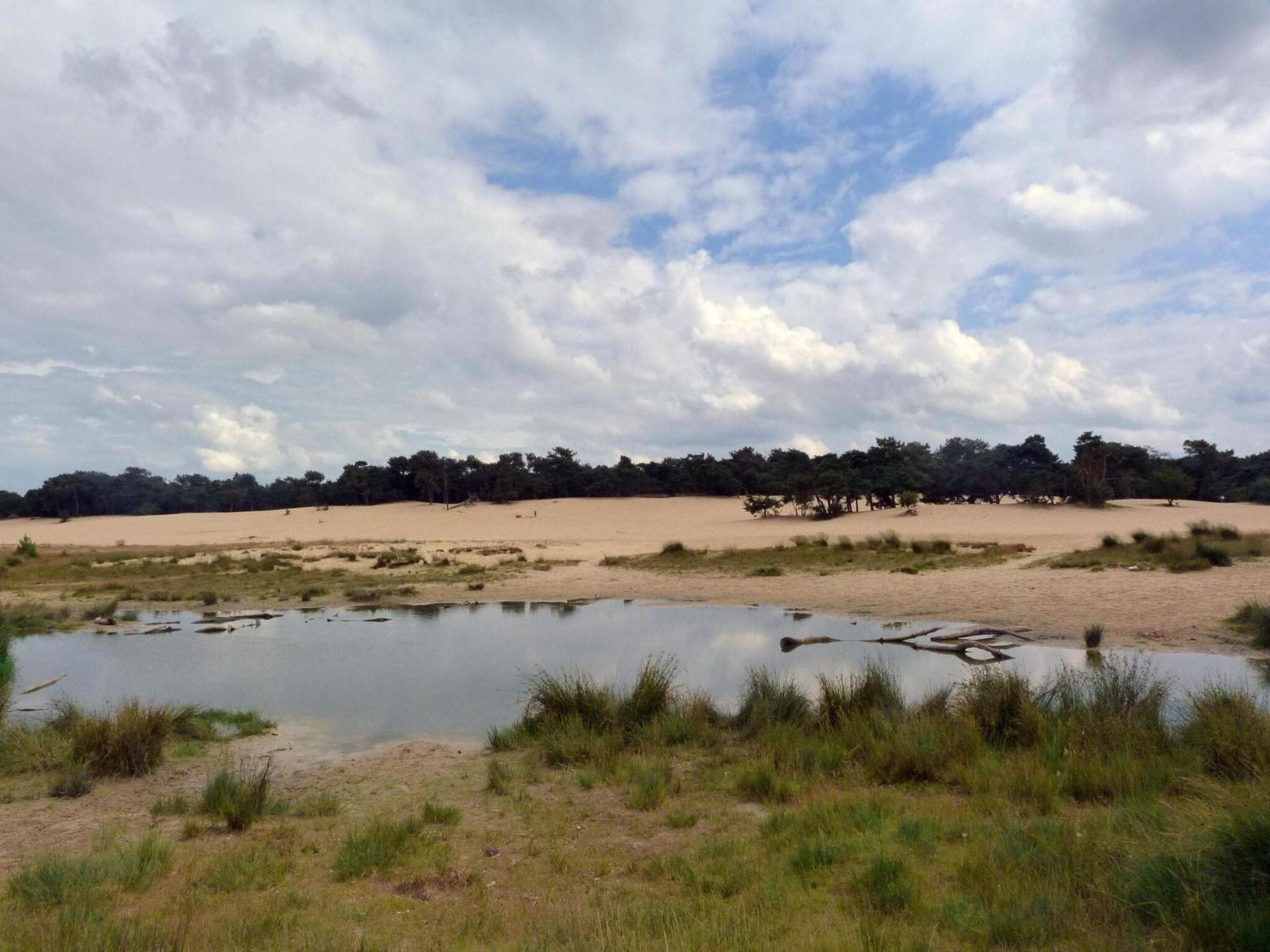 Chalet Near The Loonse And Drunense Duinen Udenhout Экстерьер фото